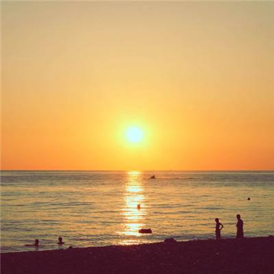 狗万官网app下载