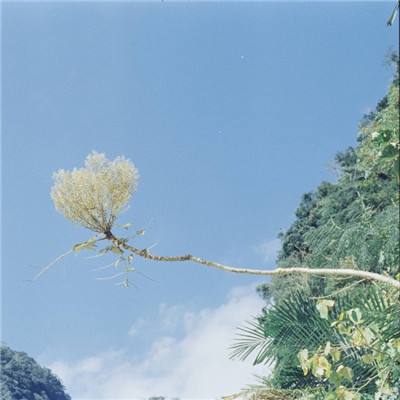 澳门正版资料大全截图